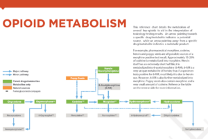 pdf_opioid_metabolism